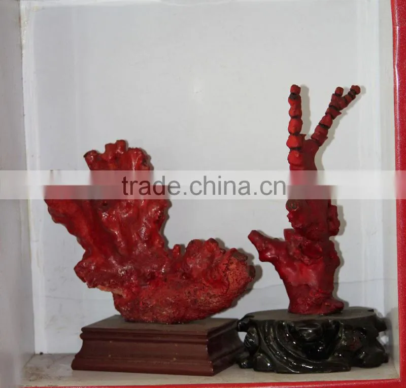 hot sale natural coral bead for wholesale