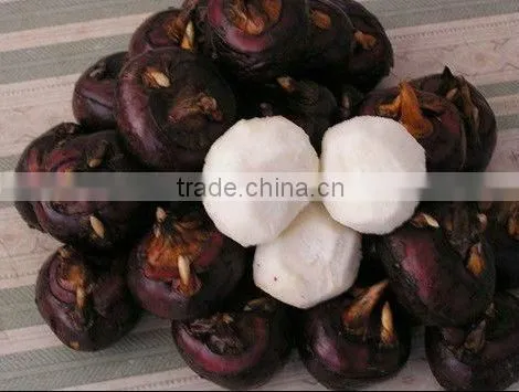 Canned Vegetable Canned Water Chestnut 567g