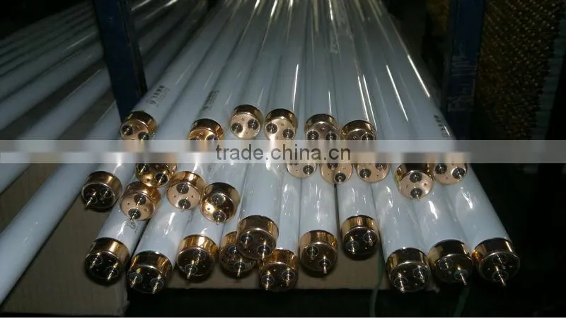 T5 Fluorescent Lamp Tube