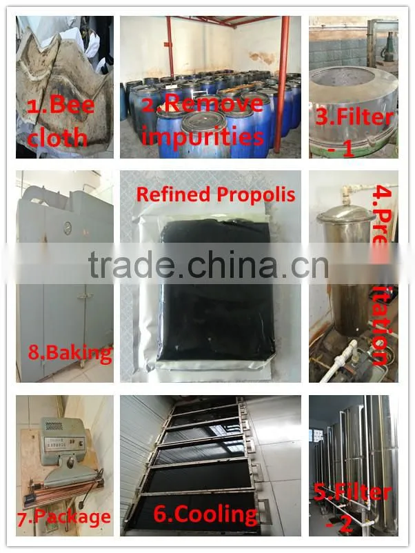 Factory large supply pharmaceutical grade super bee propolis