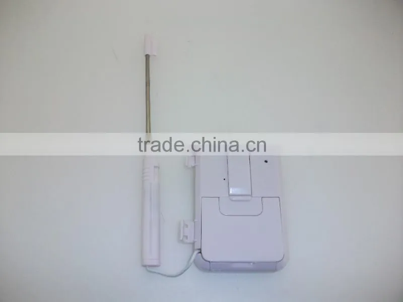 Digital Thermometer with Probe