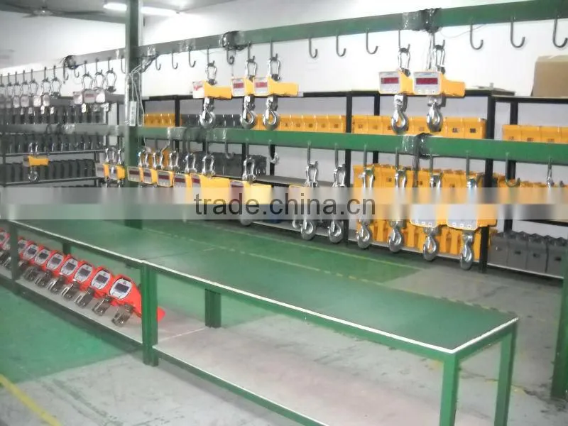 Heat resistance crane scale 10ton