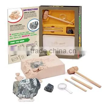 Deluxe Authentic Plant Leaf Fossils Dig Kit
