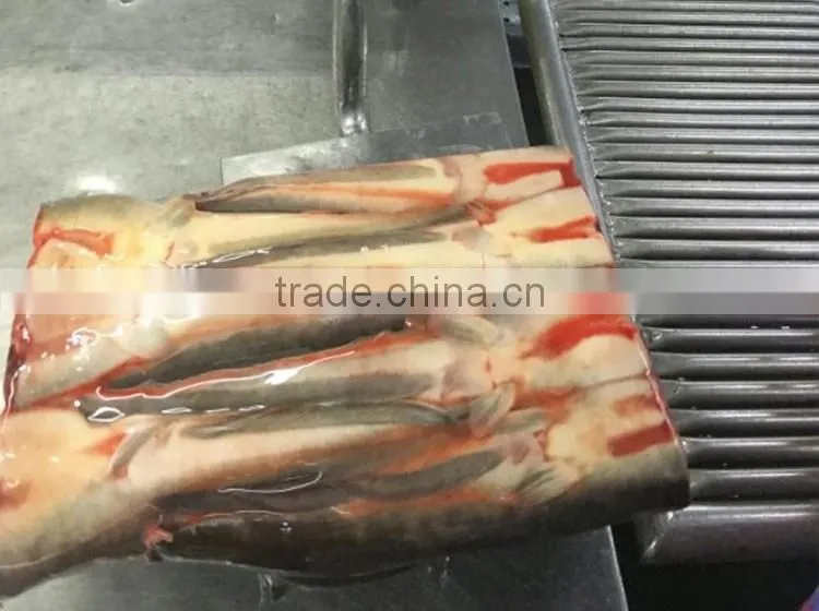 frozen seafood cat fish headless catfish maw