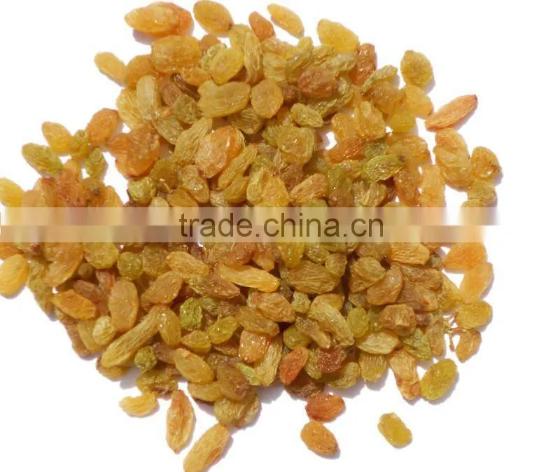 Round Natural Indian Raisine