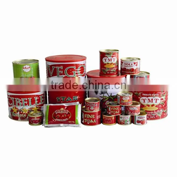 aspetic sachet tomato paste factory