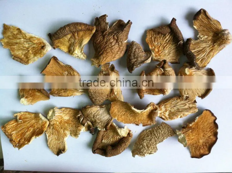 dried oyster mushroom for sale oyster mushrooms 1kg dry