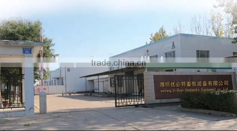 hot sale broiler breeder chicken poultry breeding houses