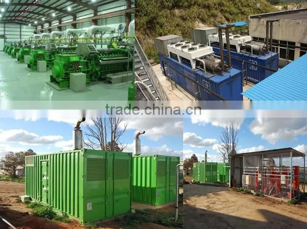 BOT/ CDM/TURN KEY biogas project/biomass power plant/Biogas generator power plant
