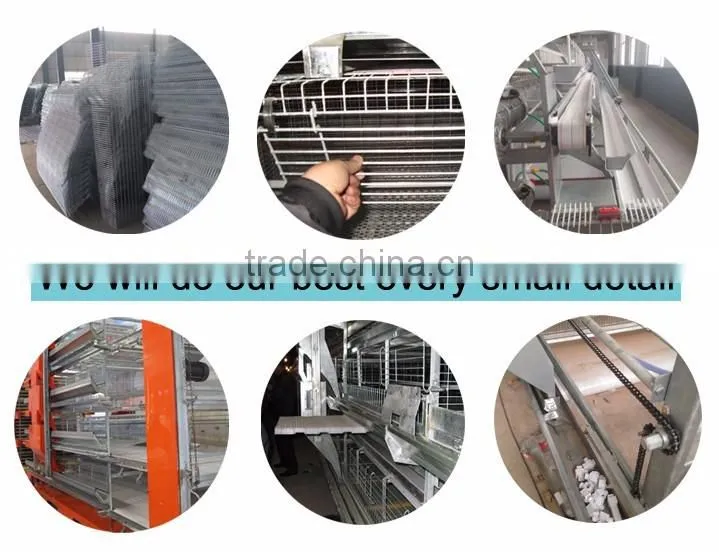 H type 56 chickens broiler chicken cage sale for Tanzania