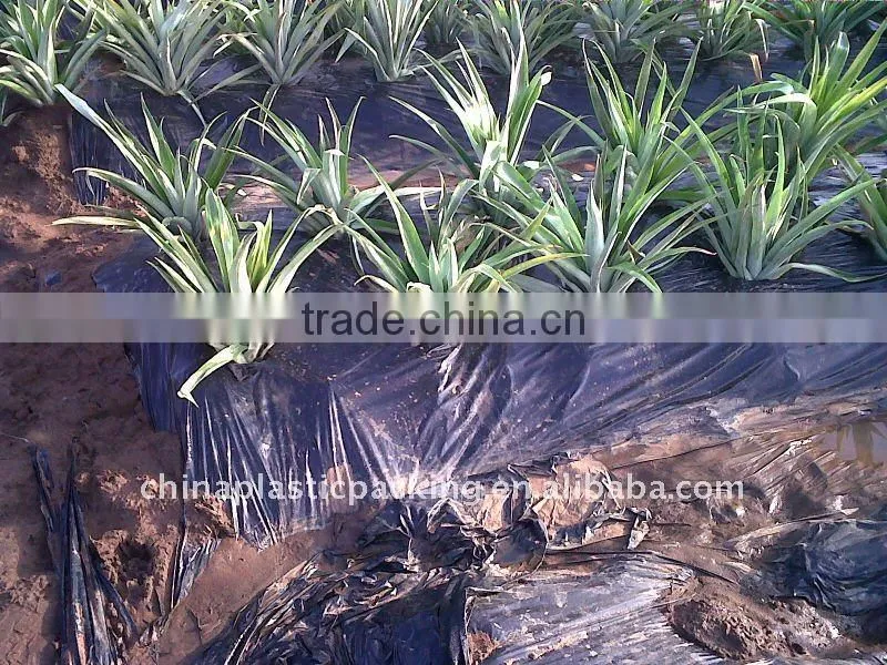 Plastic mulch sheet film packing in bags on sale