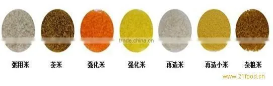 New Stainless Steel Artificial Instant Rice Food Machine/Nutritional Rice Food Processing Line