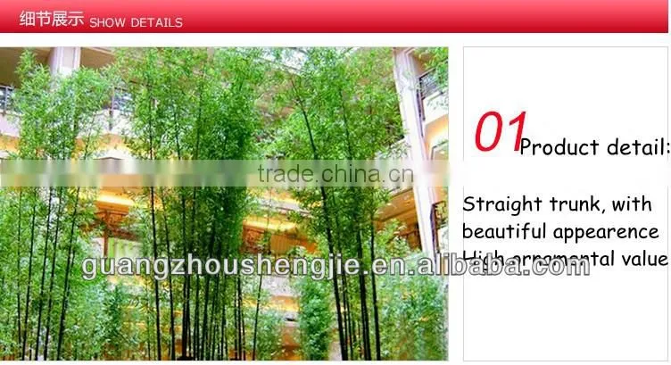 China wholesale artificial bamboo/fake bamboo for decoration