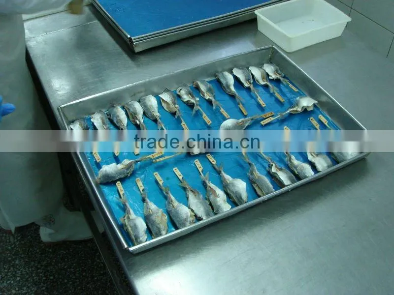 best sea food and frozen smelting