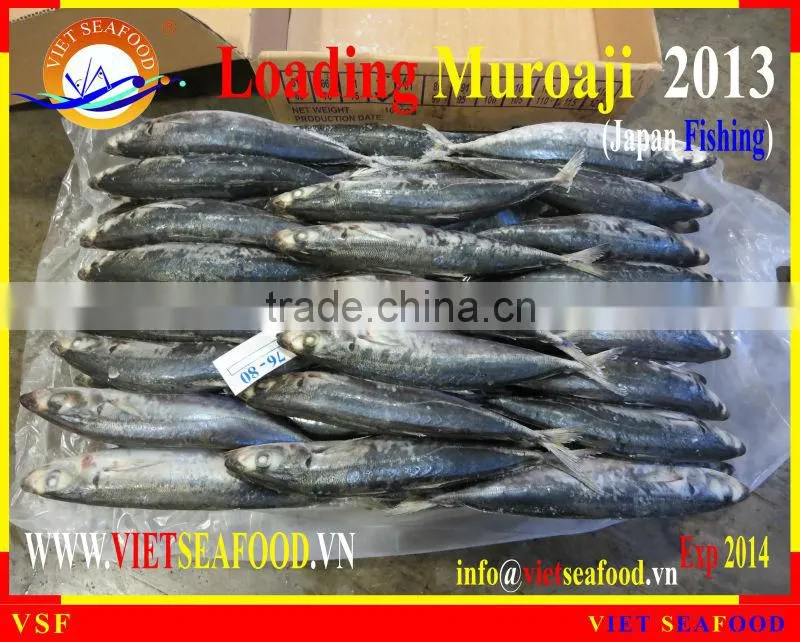 LOADING MUROAJI FOR TUNA BAIT