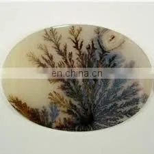 DINOSAUR BONE/WHOLESALE GEMSTONE CABOCHON/NATURAL GEMSTONE CABOCHON
