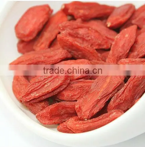 wolfberry fruit, lycium fruit, goji berries,big size