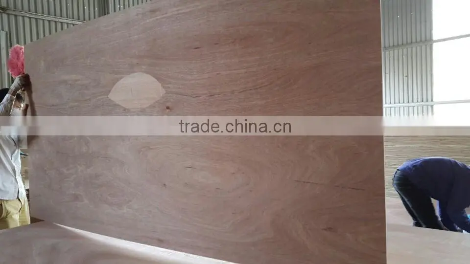 Good quality plywood of vietnam, 1220*2440 mm