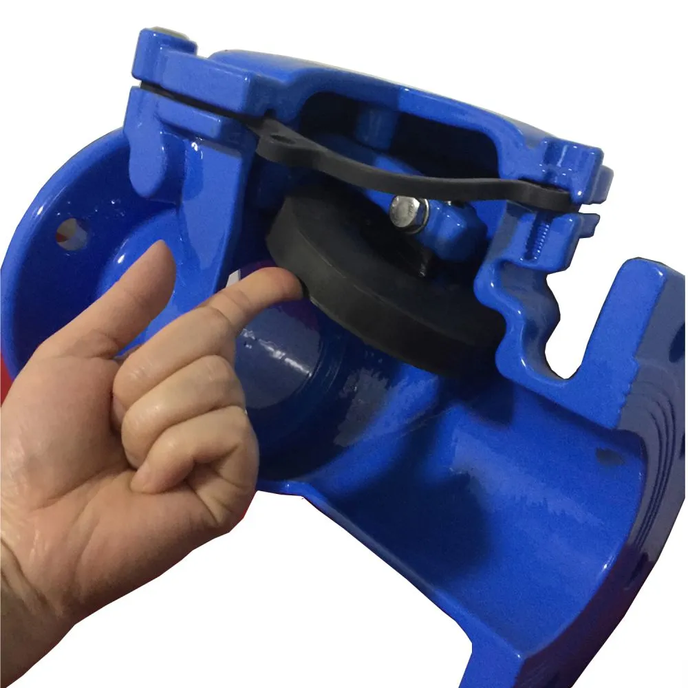 swing check valve-11-1.jpg