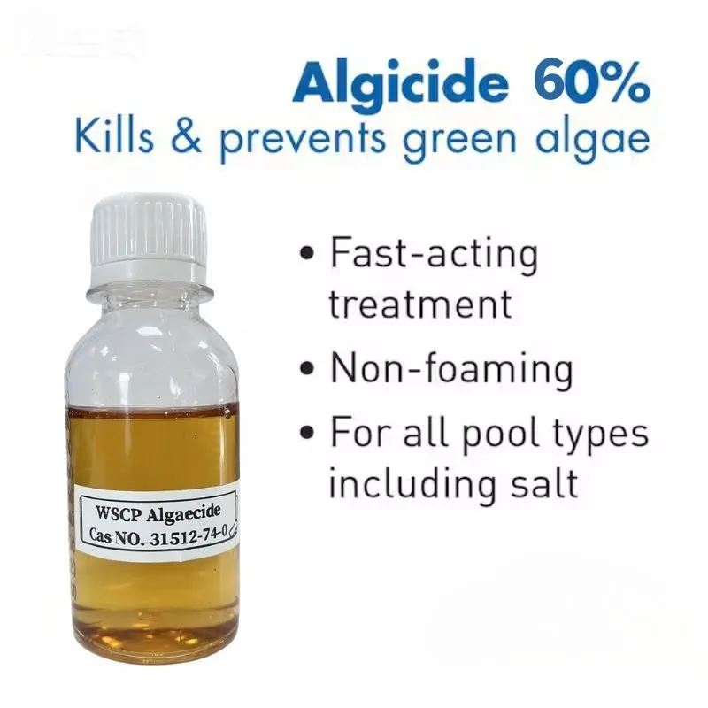 Polyquat Algaecide 60: The Long-Lasting, Non-Foaming Solution for Crystal-Clear Pool Water