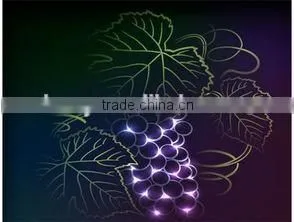 Glow in the dark pigment with high quality
