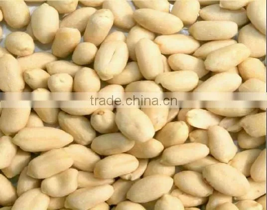 Best Price Roasted Peanut in shell for sale
