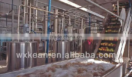 Hot sale high automatic fruit and vegetable cleaning line