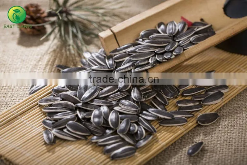 Chinese seedless watermelon seed