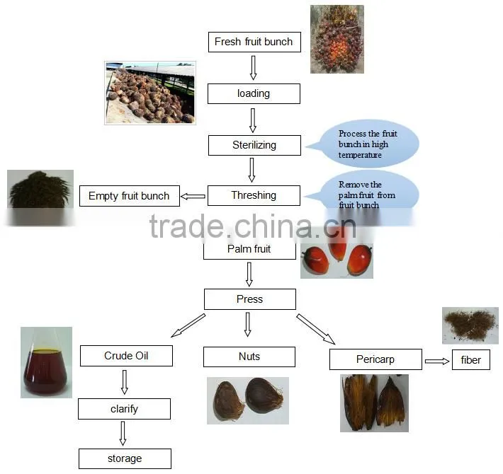 300TPD equipments producing palm oil extraction machine price from Huatai Factory