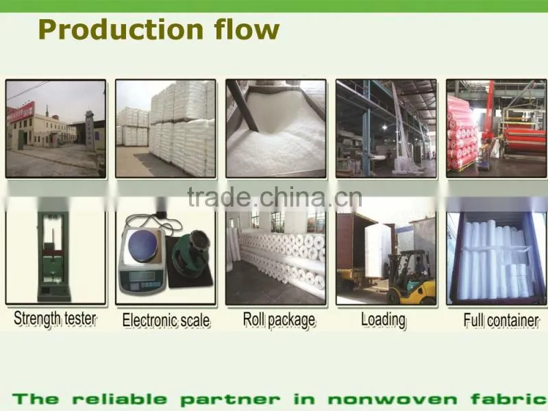 High Quality Polypropylene Agriculture Fleece Spunbond Nonwoven Fabric