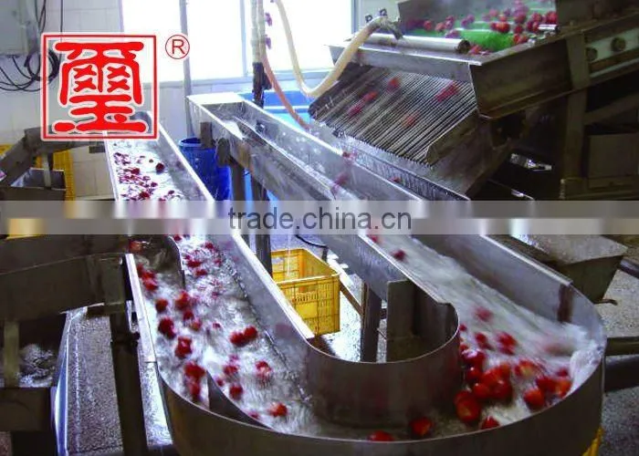 2016 top grade quality frozen strawberry