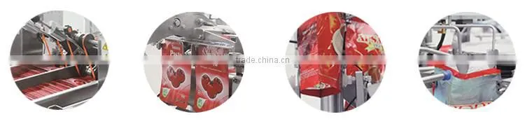 Edible Oil Pouch Packing Machine