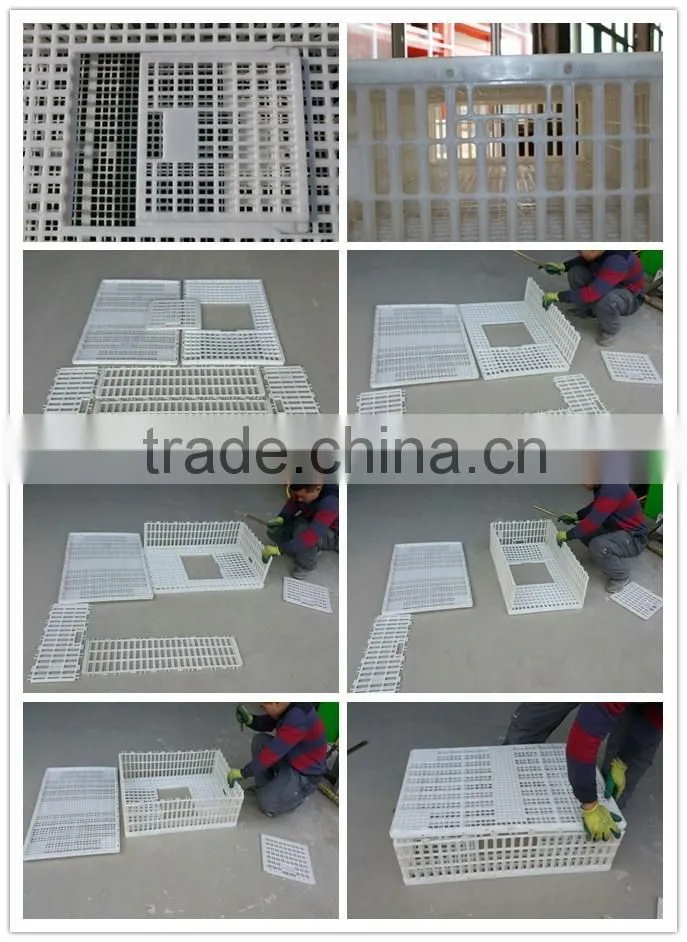 new polyethylene china white quail cages for sale