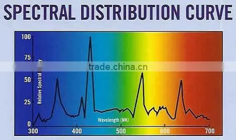Led 5050 Flexible Strip Light