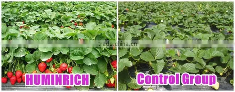 FAQ 14--Huminrich Compound Amino Acid Fertilizer For Vegetables