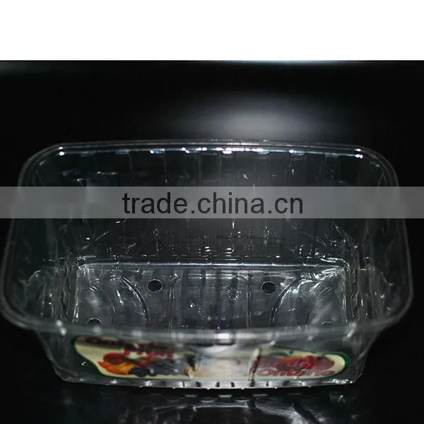 2015 High Quality Wholesale Fashion plastic tray with dividers