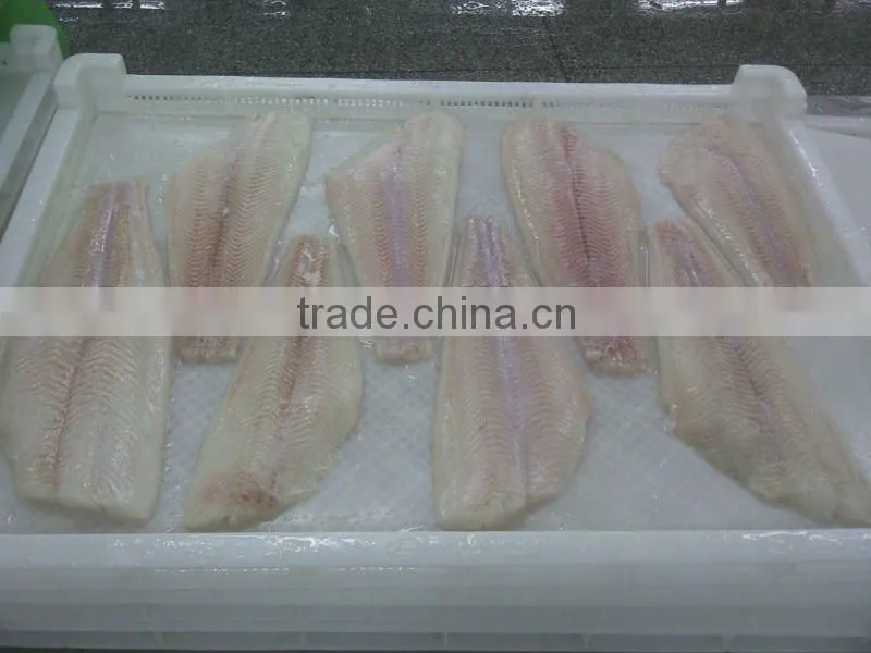 frozen pacific and Greenland halibut fillet