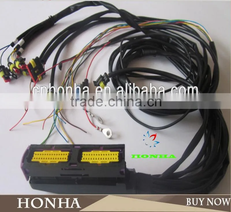 EV1 Female Fuel Injector Connector 2 pin automotive wire harness connector