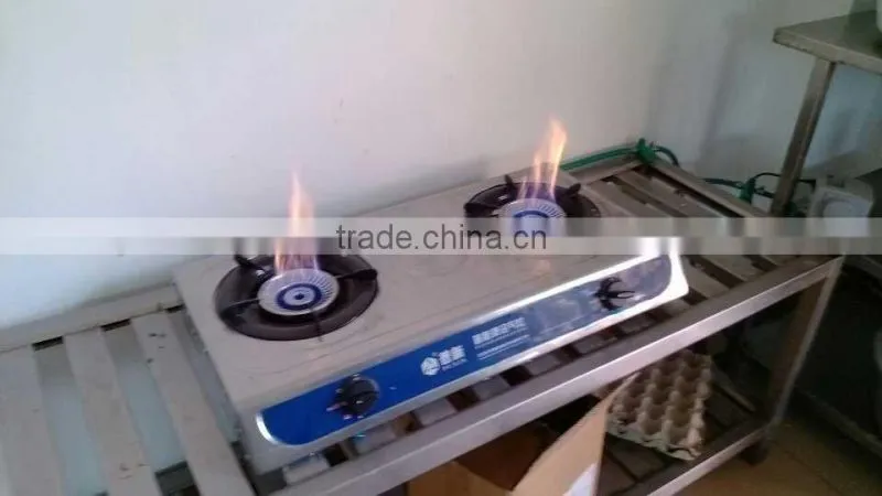 Best Double Burner Biogas Stove