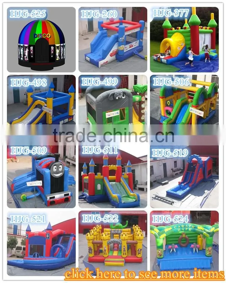 party used popular princess bouncy castle
