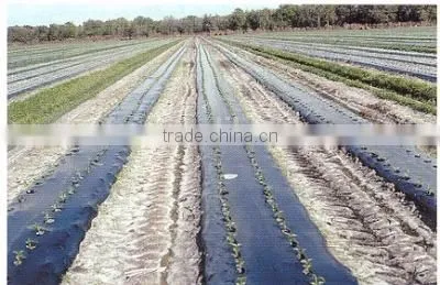 black mulch plastic mulch film for agriculture
