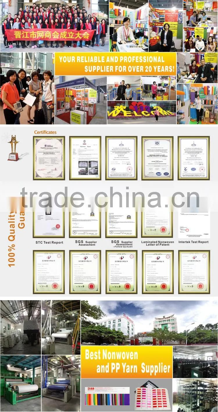 High Quality PP BCF Yarn