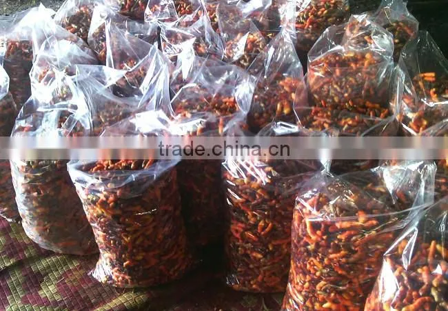 Dried Thai herbal Kaempferia Parviflora Black Ginger Root