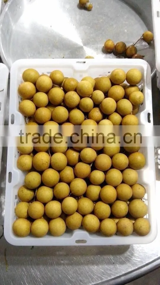 Longan fruit- high quality best price from Vietnam