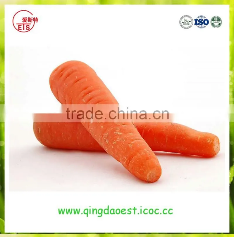 High quality fresh 2016 new carrot