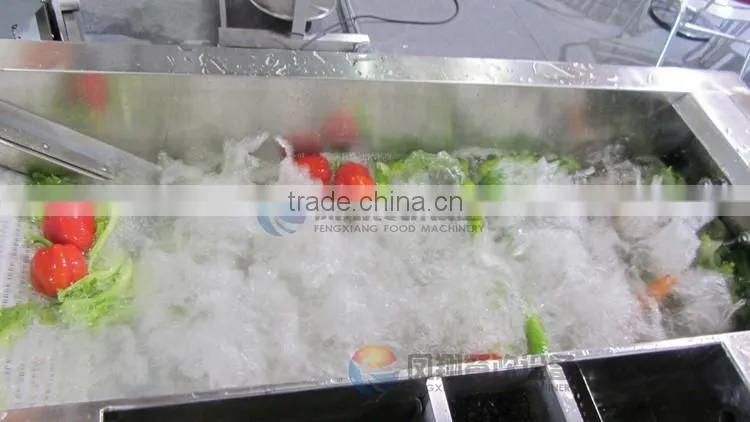 Commercial Big Size Bubble Cycle Surfing Type Fruit Washing Machine