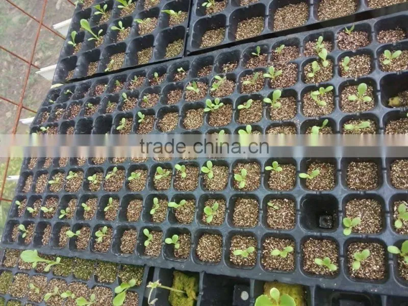 Golden Expanded Vermiculite for horticulture