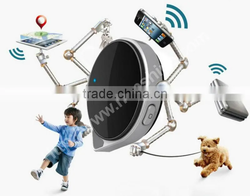 Relaxed Bear Multi Function Alarm and Money Check UV Light