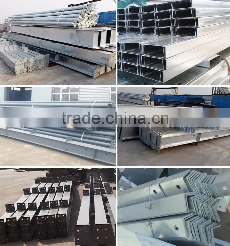 China Poultry Chicken Egg Poultry Farm
