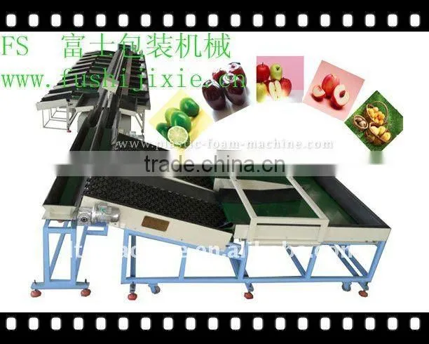 Fruit sorting machine